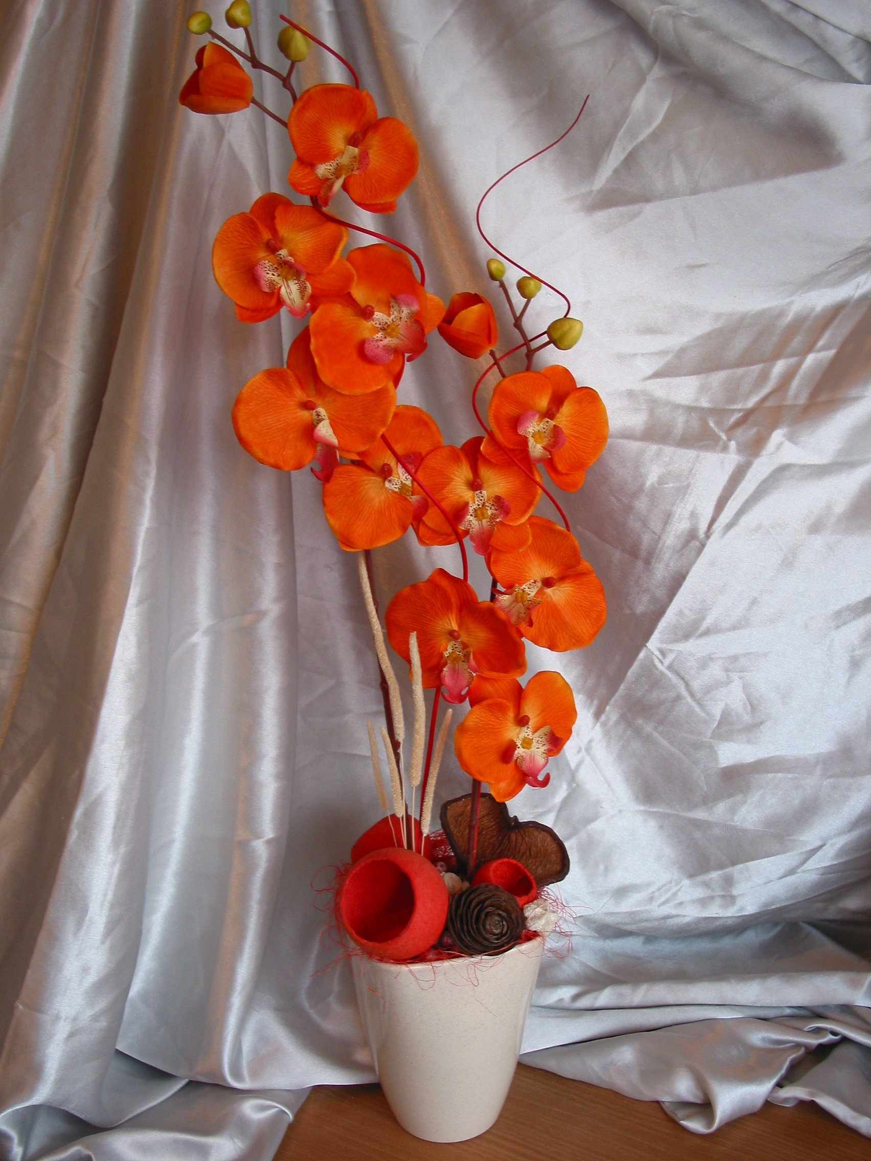 Orchidej - oranžová  "Midday"