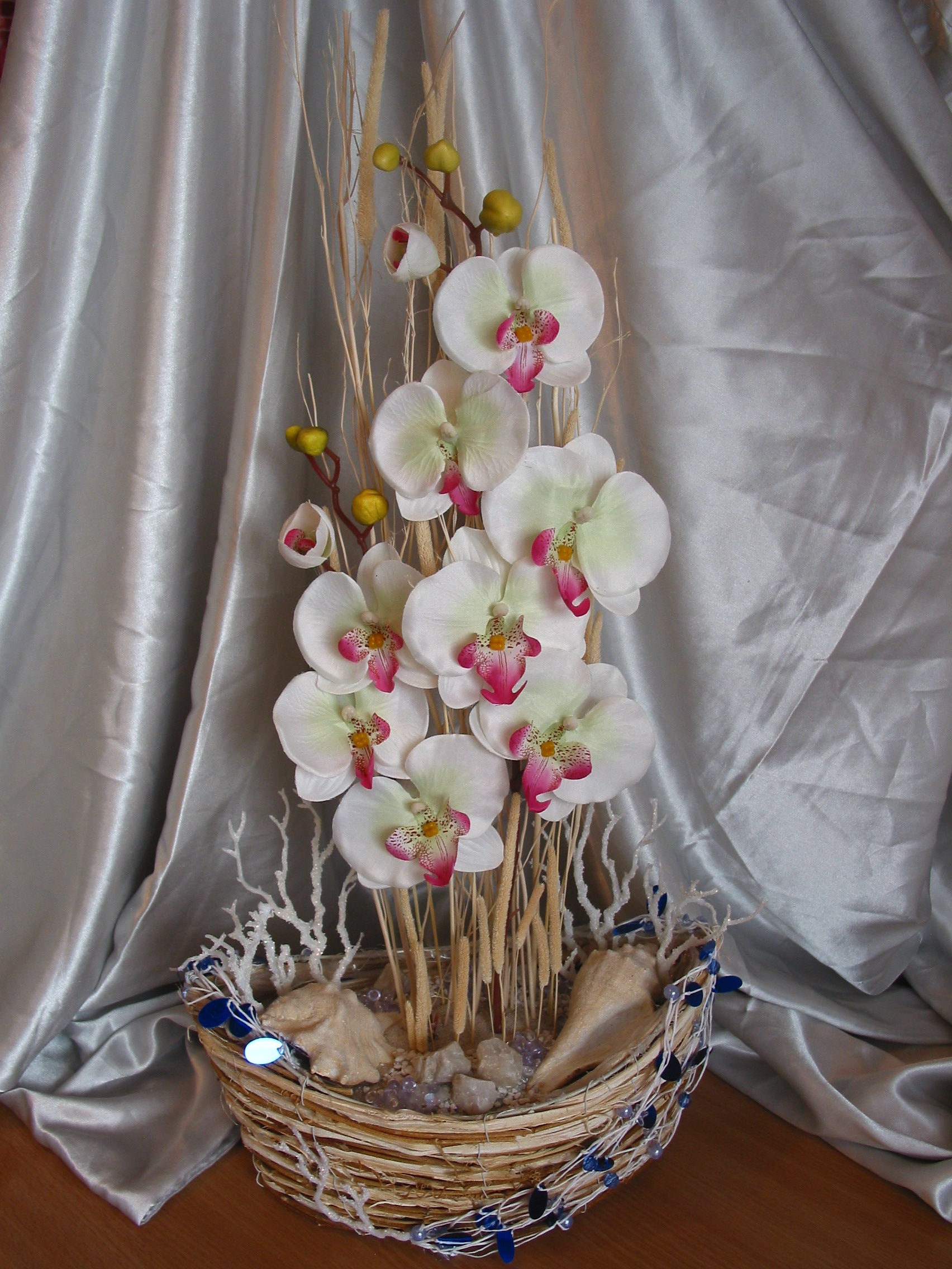 Orchidej - bílá "Koráb"