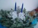 věnec hřbitovní vánoční - modrý